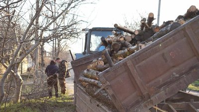 Дрова для Миколаївщини. У Вознесенській громаді понад 250 домогосподарств безкоштовно отримали паливну деревину