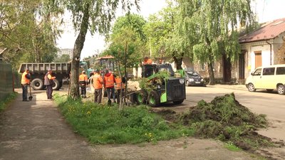 У Житомирі жителі вулиці Дмитрівської скаржаться на комунальників, котрі пошкодили їхній газон У Житомирі жителі вулиці Дмитрівської скаржаться на комунальників, котрі пошкодили їхній газон