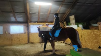 Іпотерапія для дітей: у Житомирі проводять заняття навчально-лікувальної їзди верхи Іпотерапія для дітей: у Житомирі проводять заняття навчально-лікувальної їзди верхи