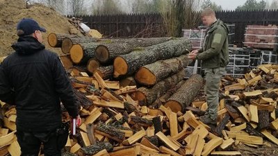 На Житомирщині припинили діяльність угруповання, яке займалося незаконними вирубками та лісопереробкою На Житомирщині припинили діяльність угруповання, яке займалося незаконними вирубками та лісопереробкою