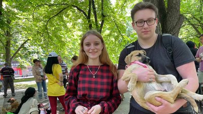 Знайти нову родину. У Миколаєві відбулася акція з прилаштування безпритульних собак Знайти нову родину. У Миколаєві відбулася акція з прилаштування безпритульних собак