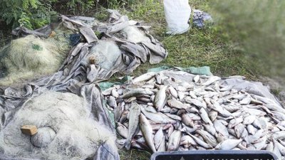 На Кіровоградщині поліцейські затримали чоловіків, які наловили риби на понад мільйон гривень