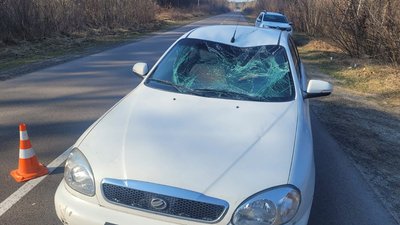 У Луцькому районі внаслідок аварії загинув велосипедист