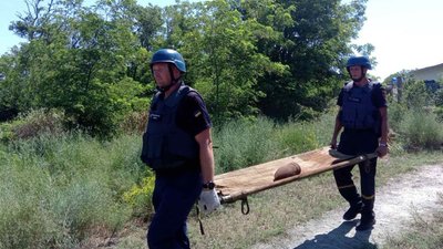 У Миколаївській області на території приватного подвір’я знайшли артснаряд У Миколаївській області на території приватного подвір’я знайшли артснаряд