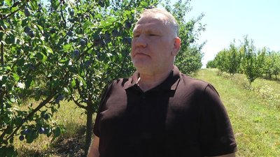 На фото власник садів Хусейн Дукаєв.