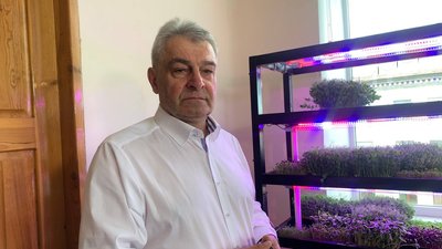 "Розумний город": тернопільські школярі вирощують мікрозелень "Розумний город": тернопільські школярі вирощують мікрозелень