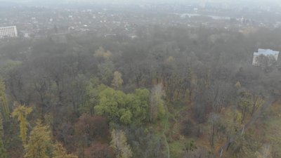 У Вінниці окреслюють межі Пʼятничанського парку У Вінниці окреслюють межі Пʼятничанського парку