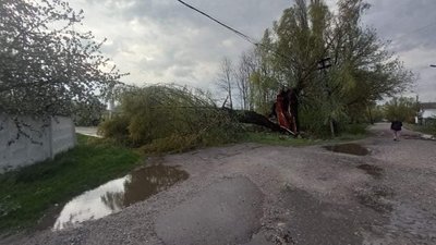 292 населені пункти без світла та пошкоджені покрівлі: наслідки негоди на Чернігівщині
