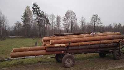 На Житомирщині за добу викрили трьох чоловіків у незаконних оборудках з деревиною На Житомирщині за добу викрили трьох чоловіків у незаконних оборудках з деревиною