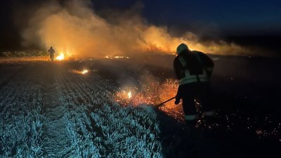 Пожежа в полі на Волині, 14 серпня 2025 рік