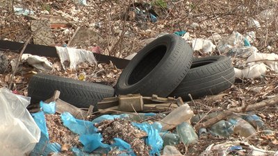 На Вінниччині екологи виявили стихійні сміттєзвалища На Вінниччині екологи виявили стихійні сміттєзвалища