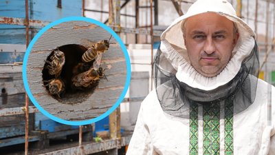 Херсон, пасіка, бджоляр, бджільництво