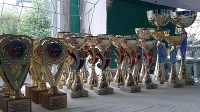 "Кубок Карпат". В Івано-Франківську провели всеукраїнський турнір із тхеквондо "Кубок Карпат". В Івано-Франківську провели всеукраїнський турнір із тхеквондо