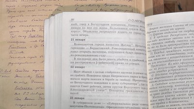 Щоденник місцевого лікаря Олександра Несвіцького Щоденник місцевого лікаря Олександра Несвіцького