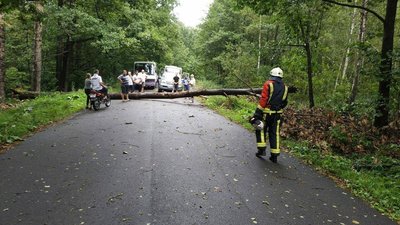 Негода на Рівненщині: повалені дерева пошкодили автомобілі Негода на Рівненщині: повалені дерева пошкодили автомобілі