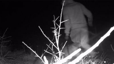 фотопастка зафіксувала чоловіків біля кордону з Румунією