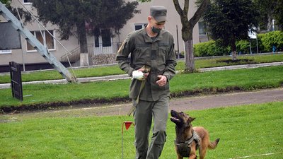 У Тернополі відбулися змагання кінологів