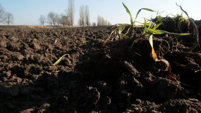 На Запоріжжі територіальні громади отримали землю у власність