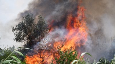 За добу обстріли російськими військами спричинили три пожежі на Миколаївщині За добу обстріли російськими військами спричинили три пожежі на Миколаївщині