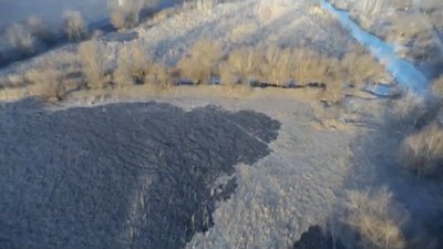горів очерет яськи, пожежа яськи