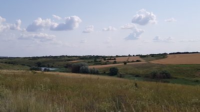 "Він наставляє на мене ліхтарик, а потім свій автомат": історія дівчини, яка виїхала з окупованого села на Харківщині "Він наставляє на мене ліхтарик, а потім свій автомат": історія дівчини, яка виїхала з окупованого села на Харківщині