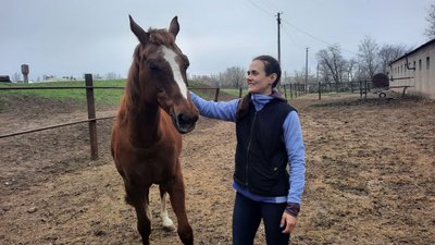 Спілкування з конями. У Миколаєві проводять заняття з іповенції