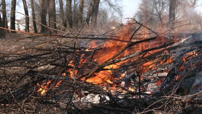 На жителів Чернігівщини склали 45 адмінпротоколів за випалювання сухої рослинності На жителів Чернігівщини склали 45 адмінпротоколів за випалювання сухої рослинності