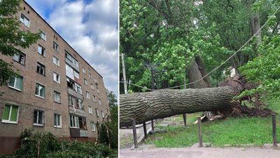 В Олександрії Кіровоградської області на будинок впало дерево В Олександрії Кіровоградської області на будинок впало дерево