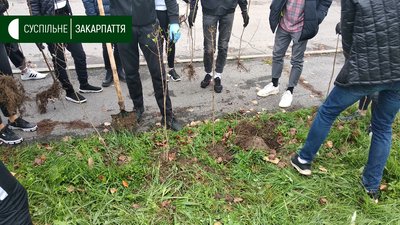 Ужгородці долучилися до всеукраїнської акції "Мільйон дерев за добу" (ФОТО) Ужгородці долучилися до всеукраїнської акції "Мільйон дерев за добу" (ФОТО)
