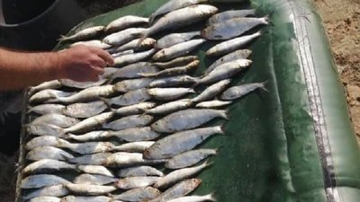 На Херсонщині прикордонники зупинили браконьєрів