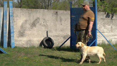 собаки-кінологи на Кіровоградщині
