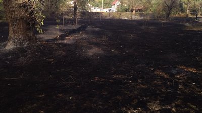 Пожежа у кропивницькому парку Космонавтів: горить трава