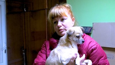 Волонтерка з собакою
