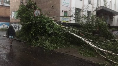 Негода дісталась Рівного, дерева валяться на авто. Очевидці публікують наслідки Негода дісталась Рівного, дерева валяться на авто. Очевидці публікують наслідки
