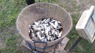 На Херсонщині відбулось зариблення Каховського водосховища