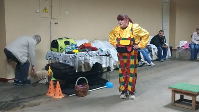 У Полтаві влаштували безплатні заняття із собаками для дітей-переселенців