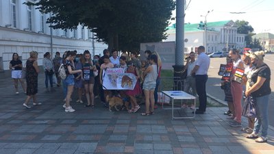 У Полтаві вимагають облаштувати притулок для тварин