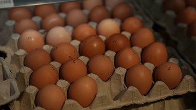 Найбільше подорожчали яйця та пшоно: як у березні змінилися ціни на Закарпатті