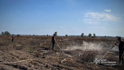 Горять торфовища на Чернігівщині: горіло 55 гектарів торфу, за добу загасили — два