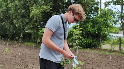тернопіль, яблуні пам'яті, чернихівський ліцей, збаразька громада, 16 червня 2026 року