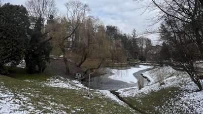 Сніг у Львові