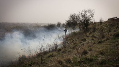 Пожежа в орнітологічному заказнику