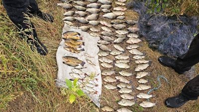 Карасі, Червона книга, Оріль, рибалка