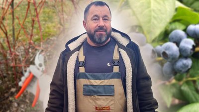 Лохина після зими: що потрібно зробити у березні, щоб вона дала рясний урожай і не хворіла