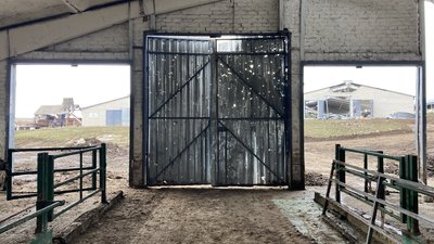 "За дві години прилітило по 200 снарядів": як працює пошкоджена окупантами ферма на Харківщині