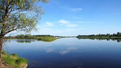 "Хочемо створити лабораторію просто неба". Інтерв'ю з директором чорнобильського заповідника "Хочемо створити лабораторію просто неба". Інтерв'ю з директором чорнобильського заповідника