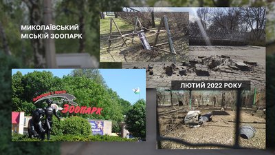 Згадуючи 500 днів війни: як змінилися миколаївські будівлі після обстрілів Згадуючи 500 днів війни: як змінилися миколаївські будівлі після обстрілів