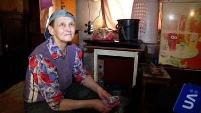 На Житомирщині Раїса Лукашевич підгодовує п'ятдесят котів та вісім собак – їм бракує їжі На Житомирщині Раїса Лукашевич підгодовує п'ятдесят котів та вісім собак – їм бракує їжі