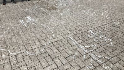Протест під стінами міськради щодо Ялівщини: Атрошенко обіцяє, що багатоповерхівки не будуватимуть