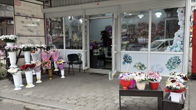 У Миколаєві планують знести квітковий ринок: власники магазинів проти демонтажу У Миколаєві планують знести квітковий ринок: власники магазинів проти демонтажу